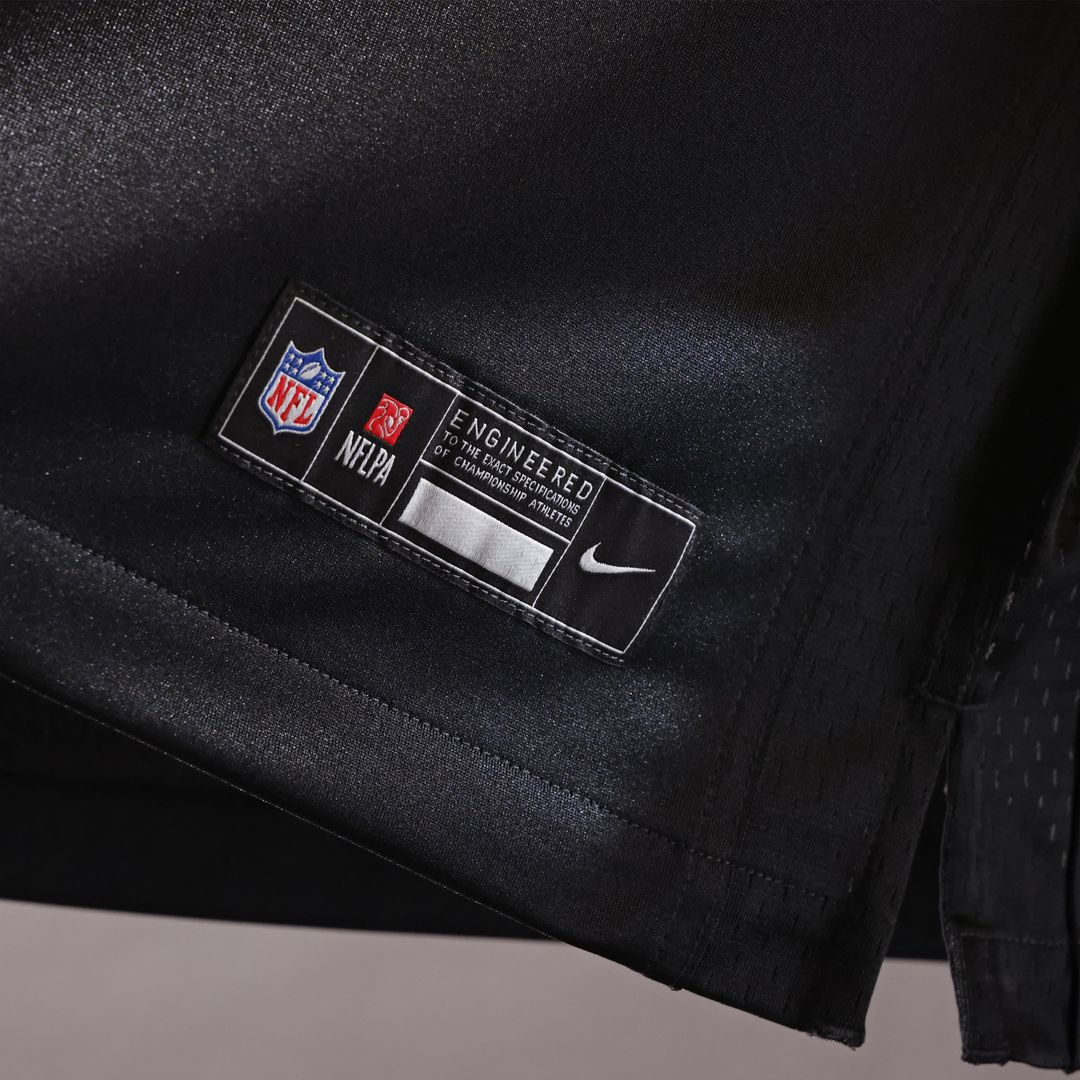 Sean Taylor Washington Commanders Hail Raiser Alternate Game Jersey - Black
