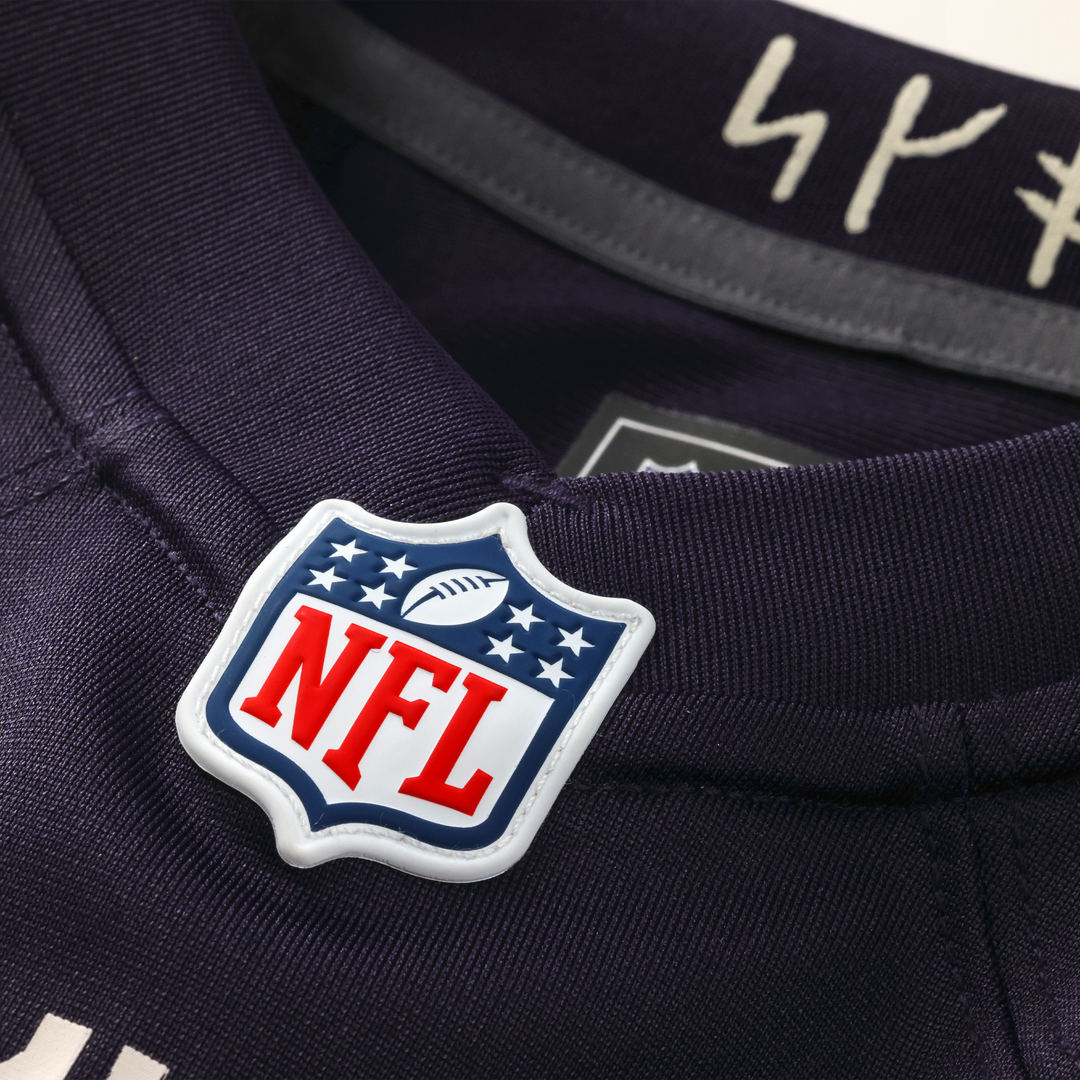 Andrew Van Ginkel Minnesota Vikings 2026 Rivalries Collection Game Jersey - Purple